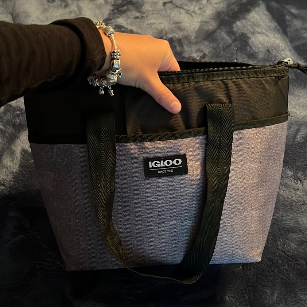 Igloo Lunchbag